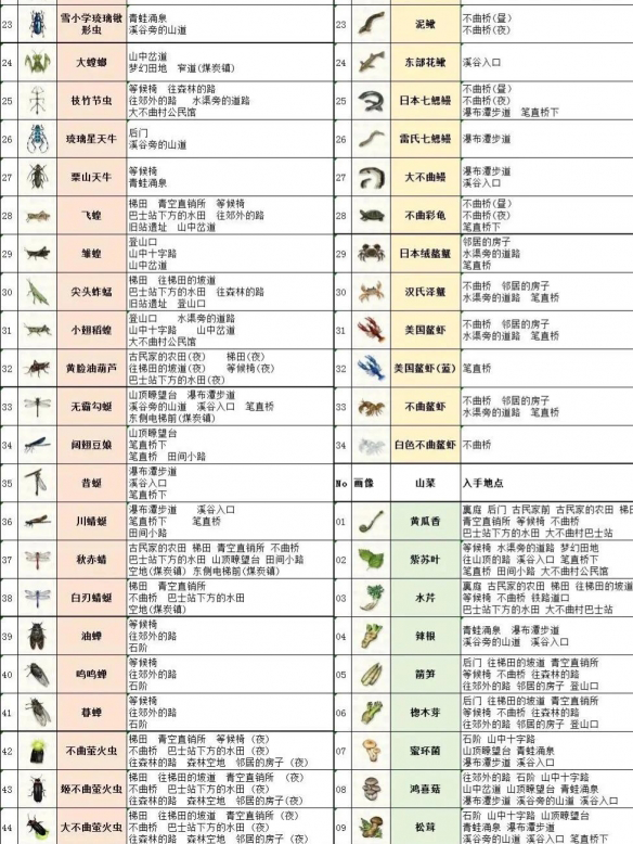 蜡笔小新煤炭镇的小白昆虫位置2