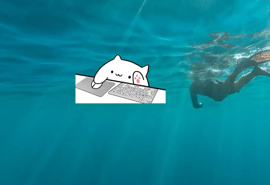 bongocat效果