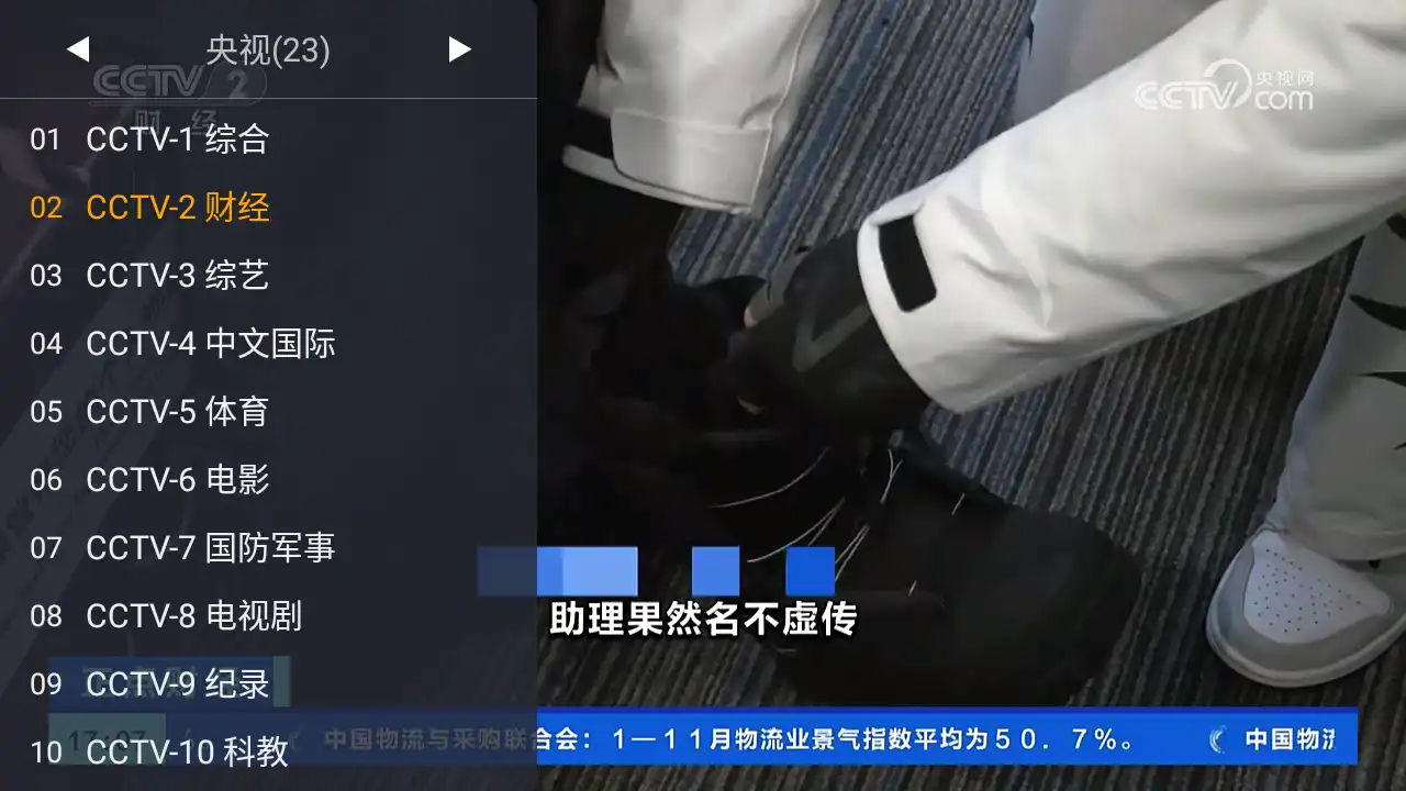 webview电视最新版