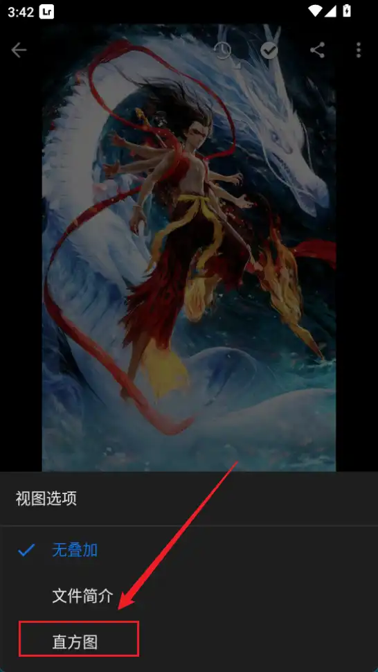 Lightroom安卓版-开启直方图-